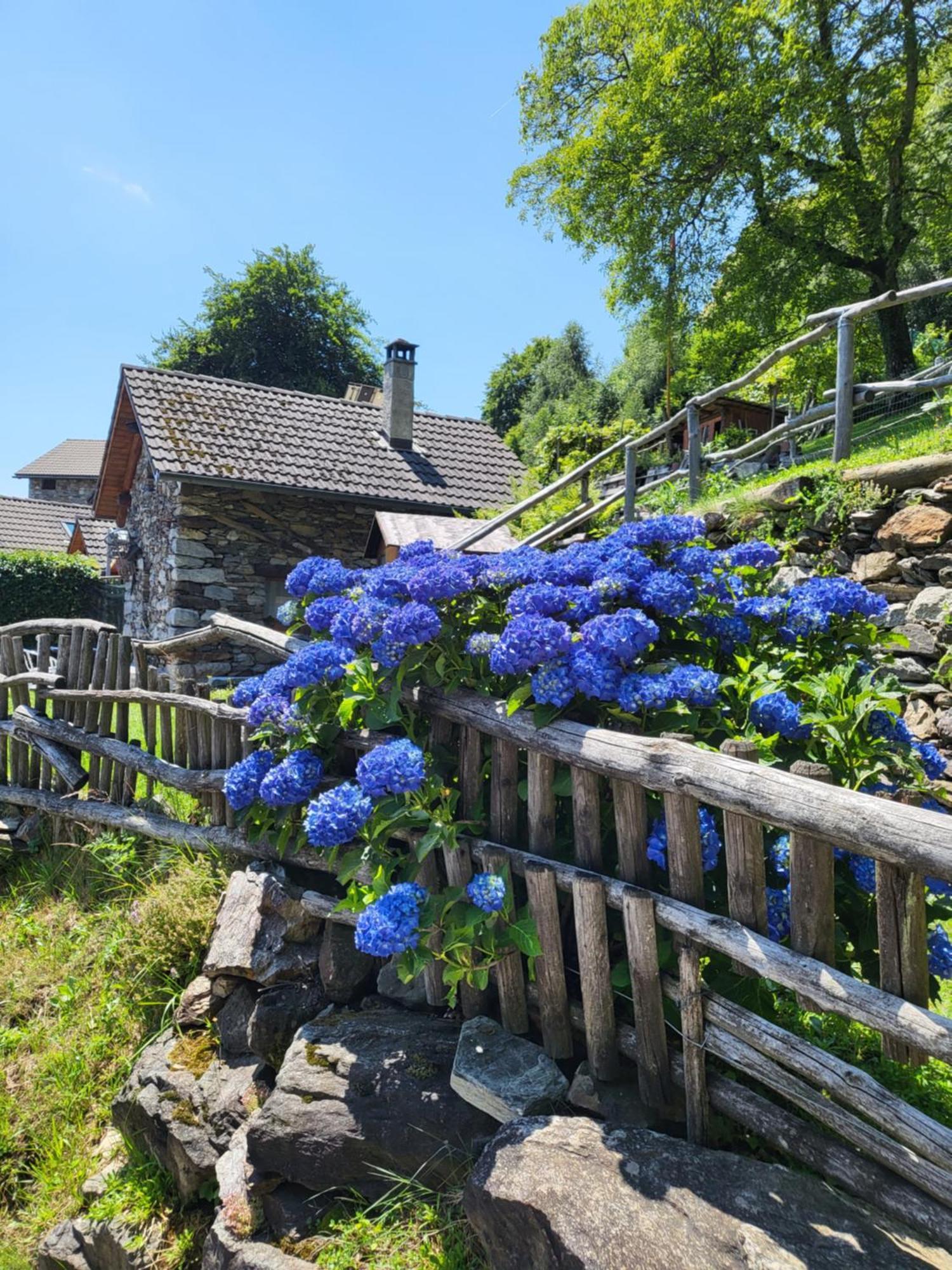 Villa Casa Poiana à Ronco sopra Ascona Extérieur photo